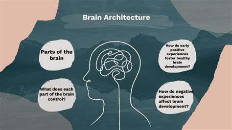 building strong brain architecture.